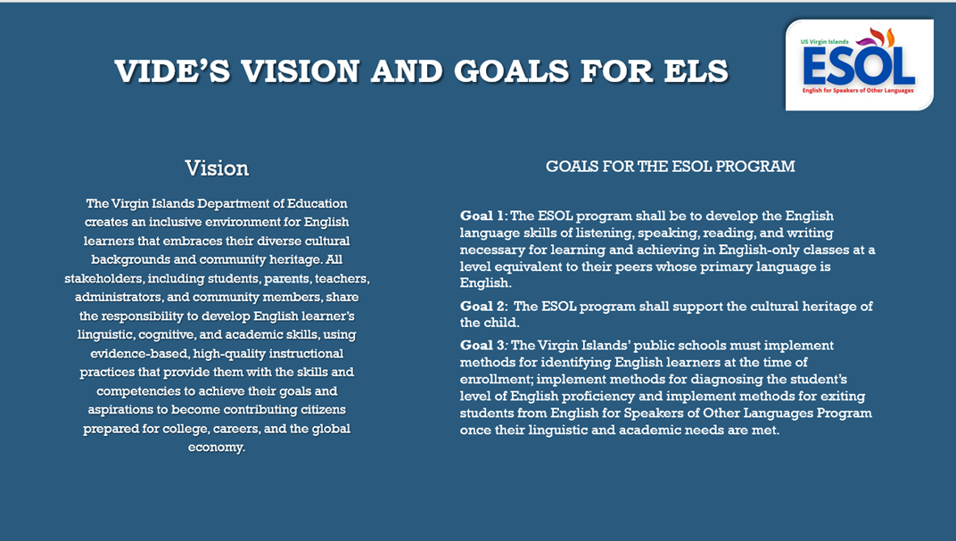 VIDE's vision and goals